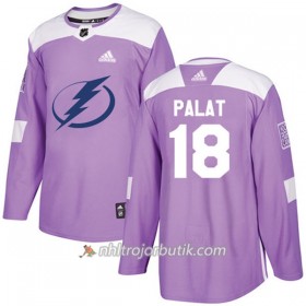 Män Ishockey Tampa Bay Lightning Tröja Ondrej Palat 18 Adidas 2017-2018 Lila Fights Cancer Practice Authentic